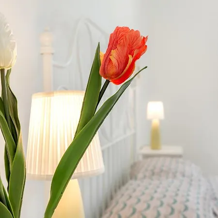 Apartment Sweet Porta Romana Florence